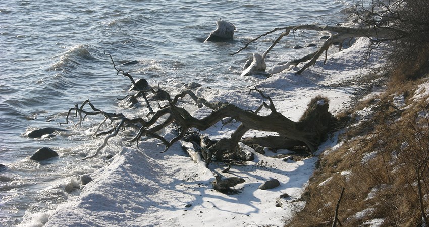 DN, Faxe natur 018.jpg