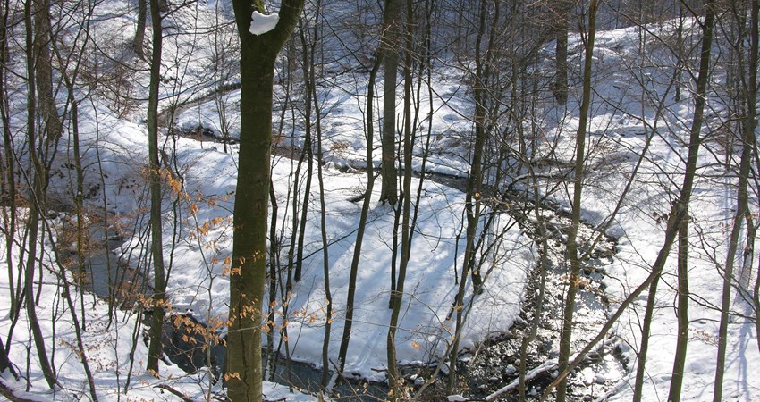 DN, Faxe natur 029.jpg